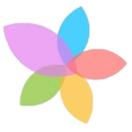 modestytrends tranp logo
