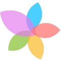 modestytrends tranp logo